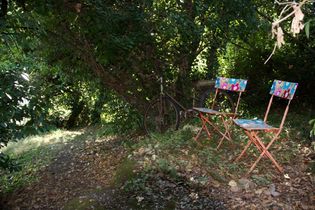 La Charentine Bed & Breakfast Echillais Екстериор снимка